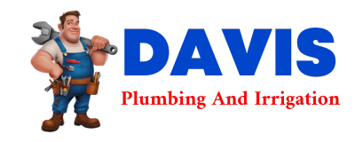 Trusted plumber in PEPIN